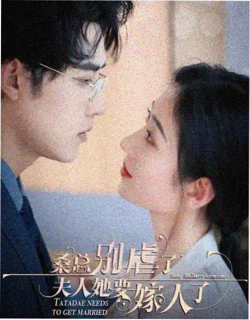 黑白森林 免费高清电视剧